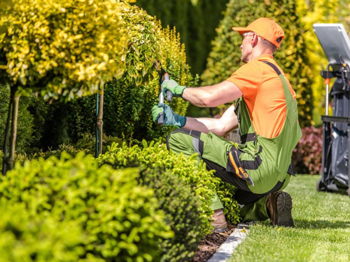 Hecke schneiden — wann erlaubt, was kostet es, DIY oder Profi?