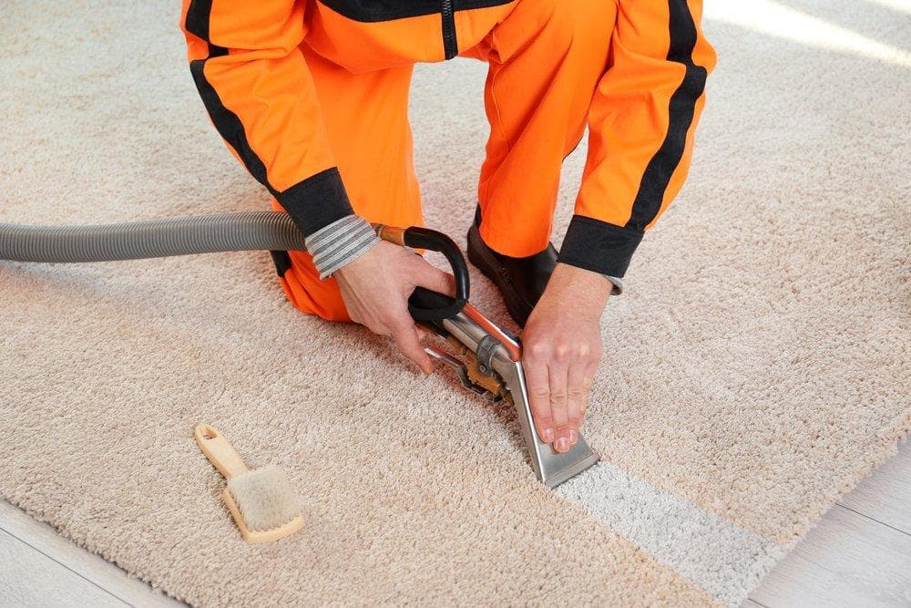 Teppich reinigen — DIY oder Profi-Reinigung? Methoden, Kosten, Tipps